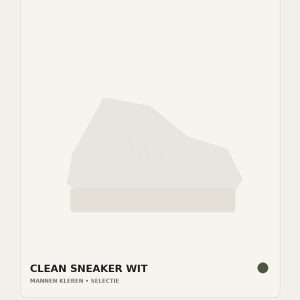 Clean Sneaker Wit